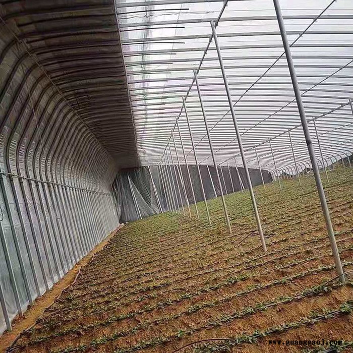 温室种植大棚管 大棚设计 椭圆大棚管图4