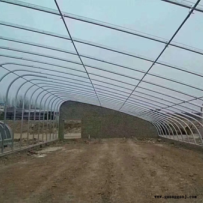 花卉大棚设计 大棚设计 建设大棚图4