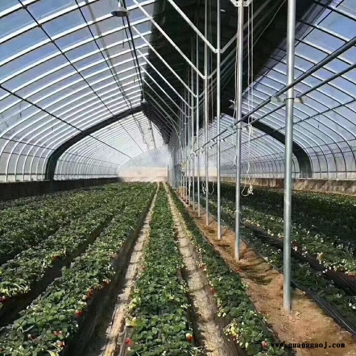 花卉大棚设计 大棚设计 建设大棚图8
