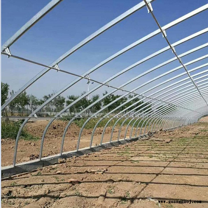 花卉大棚设计 大棚设计 建设大棚图7