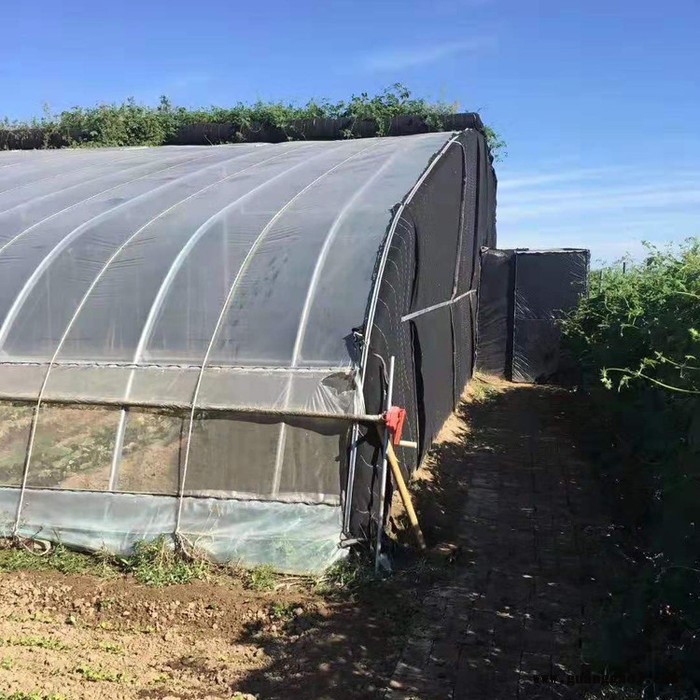 花卉大棚设计 大棚设计 建设大棚图5