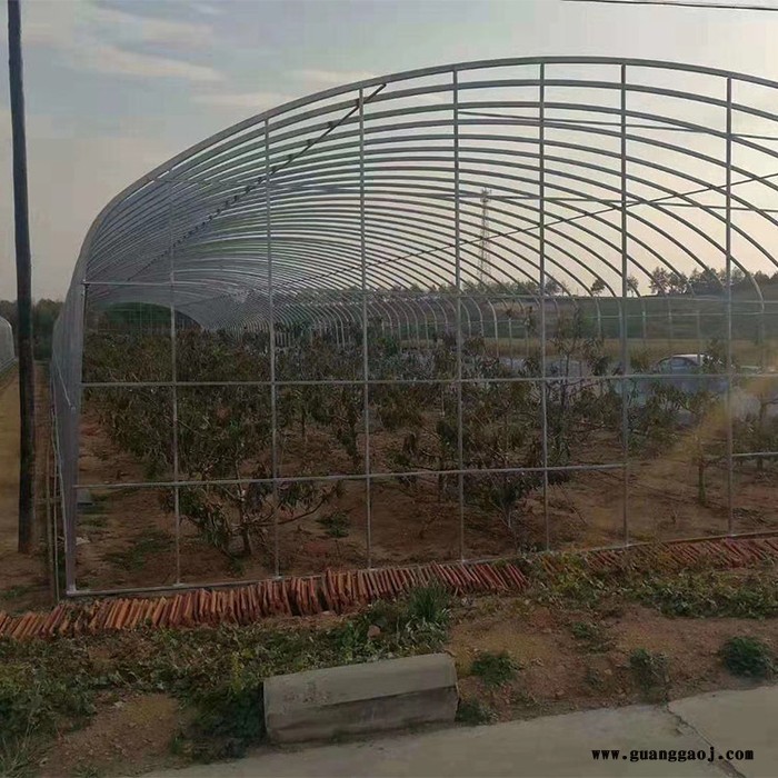 花卉大棚设计 大棚设计 建设大棚图6