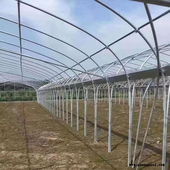 养殖大棚用管 大棚骨架设计 畜牧温室大棚管图3