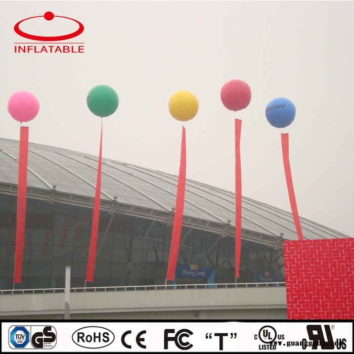 北京天翌利      定制气球图8