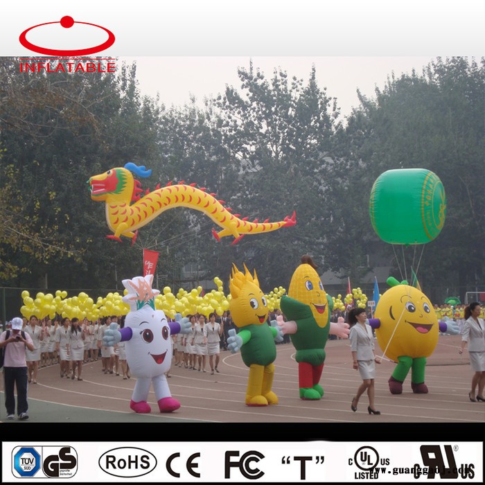 北京天翌利      定制气球图6