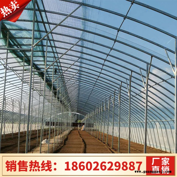 大棚管 温室大棚设计 专业养殖大棚 大棚设计图5
