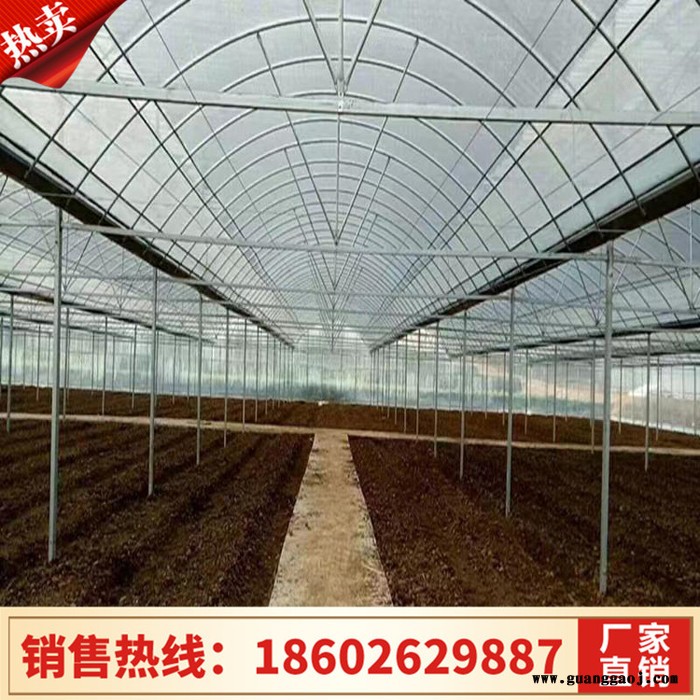 大棚养殖棚 天津大棚设计 专业养殖大棚 大棚设计图3