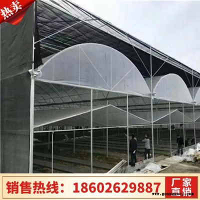 大棚养殖棚 天津大棚设计 专业养殖大棚 大棚设计
