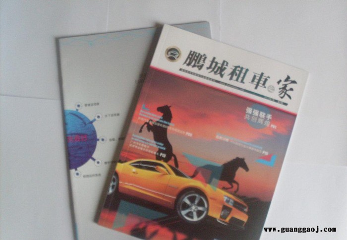 大量生产 报纸印刷图册画册 宣传海报设计印刷图2