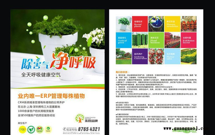花卉公司广告单 宣传单单张 宣传单彩页 宣传单张 广告设计图2