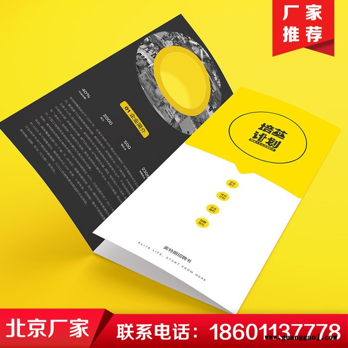 宣传彩页印刷厂承接宣传单印刷 DM单页印刷 对折页印刷 画册印刷图4