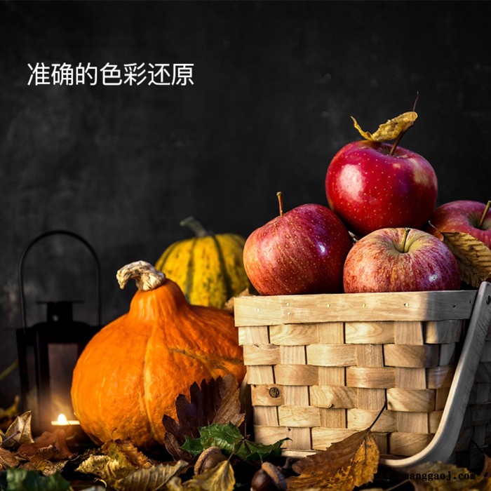 富莱仕 ASTORASF 100 LED演播灯 LED摄影灯 微电影影视视频制作补光灯 访谈外拍补光灯 摄影灯厂家图2