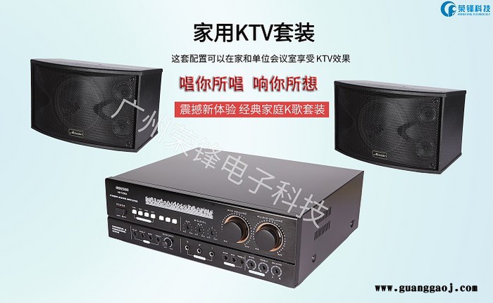 AOUSON LG -12恩施会议室音响批发 会议室需采购音响 荣锋音响 实力厂家 出货快 没有中间环节 可配音响系统图2