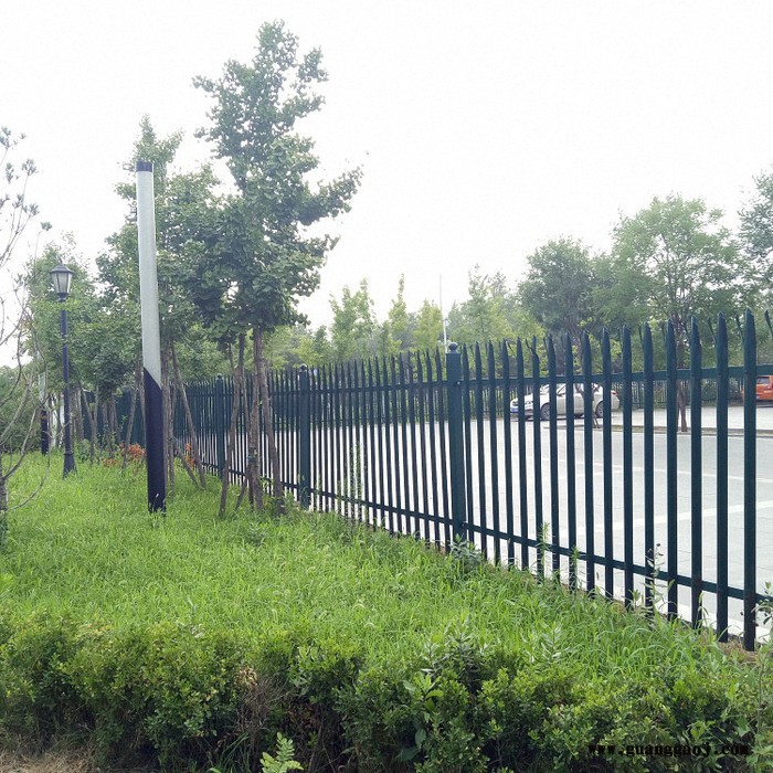 学校钢管隔离栏 插拔式学校隔离栏 学校铁艺隔离栏 批发大量现货图5