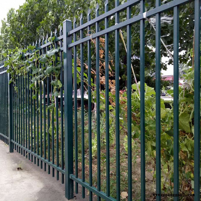 学校钢管隔离栏 插拔式学校隔离栏 学校铁艺隔离栏 批发大量现货图8