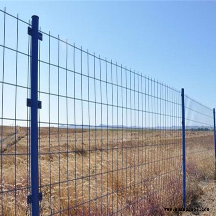 朋英 厂家生产供应 圈地护栏网 大棚基地双边丝护栏 隔离栏图4