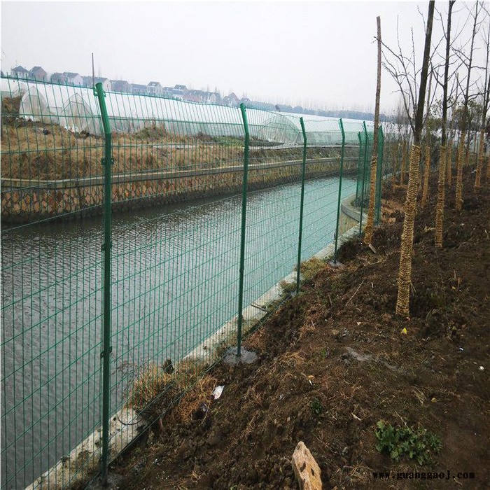 朋英 园林护栏网片 双边丝防护栏 小区围墙铁丝隔离栏 直接生产厂家图4