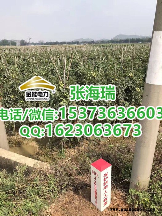 乐山基本农田界桩//金能电力农田界桩价格图2