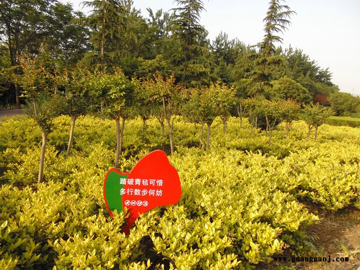美艺花草牌/草地牌/广告牌/广告牌厂家/标识牌/宣传栏/公告栏定做/信息栏图6