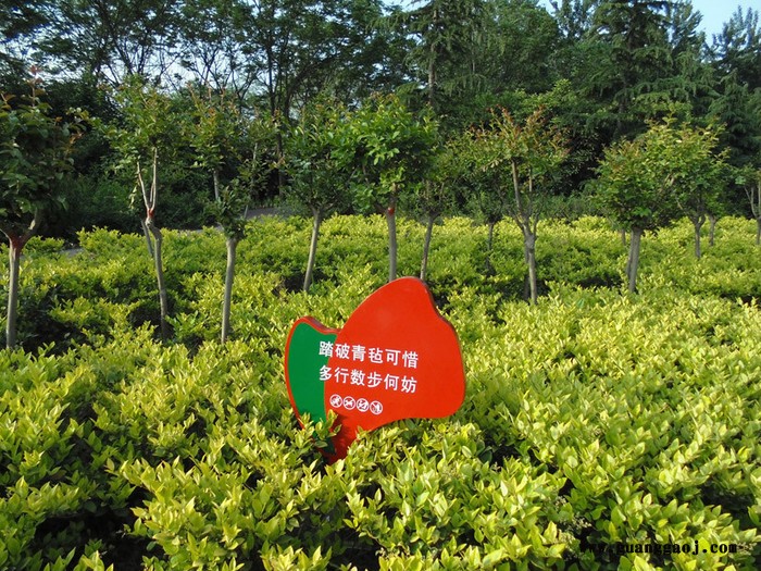 美艺花草牌/草地牌/广告牌/广告牌厂家/标识牌/宣传栏/公告栏/信息栏图3