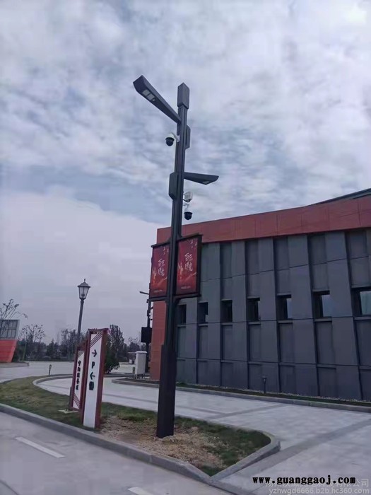汉威光电 多功能led路灯交通标志牌 带摄像头电子监控杆综合杆 监控杆厂家图3