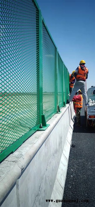 双圈防抛网 高速公路防抛网 高速公路防抛网生产 步步升 价格优惠图5