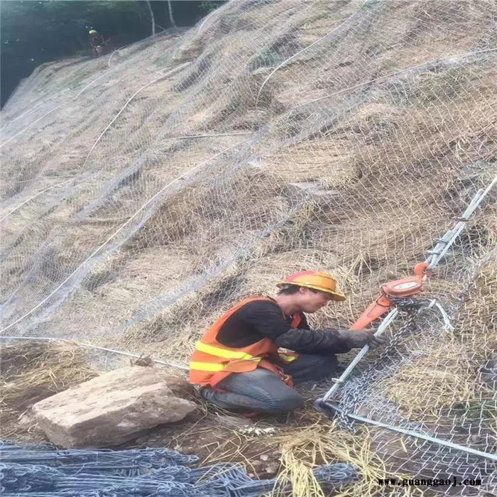 河北臣运  高速公路边坡防护网  边坡防护网价格   现货报价 规格可定制 施工价格 欢迎来电咨询图5