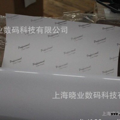 供应晓业-RC细绒面相纸 绸面相纸，粗绒面