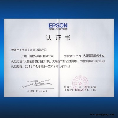 EPSON爱普生P10080大幅面打印机P20080 灯箱片油画布照片纸装饰画宣纸丝绢布艺术品复制