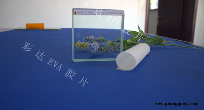 EVA超透户外胶片图2