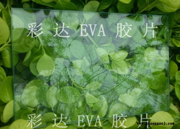 建筑级透明EVA胶片图1