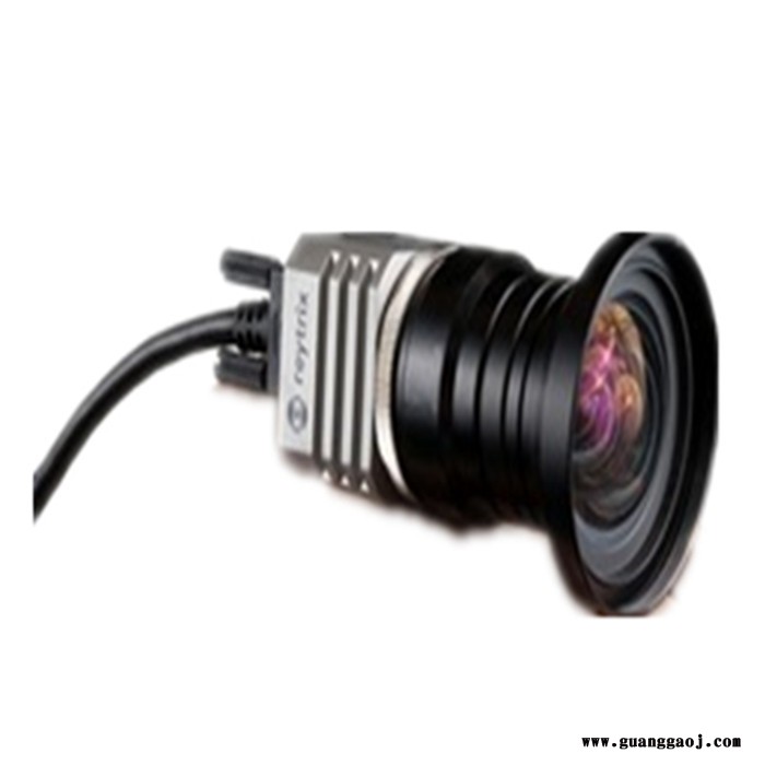 RAYTRIX 3D光场相机R8图1