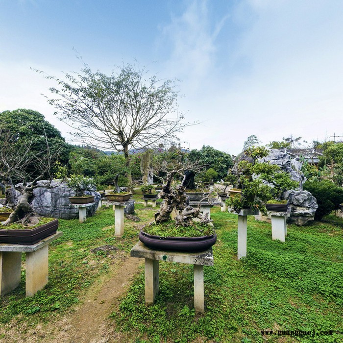 贵州黄果树瀑布、720°全景3D真实展示效果，山东麟轩文化传播有限公司承接全景拍摄、全景制作、企业策划、宣传推广服务图3
