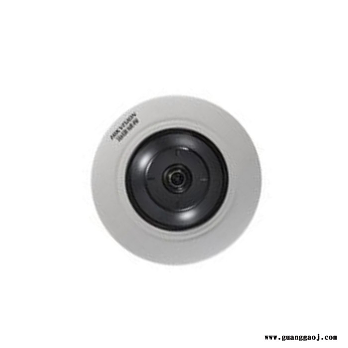 海康威视 DS-2CD2935FWD-IWS 300万鱼眼全景摄像机图2