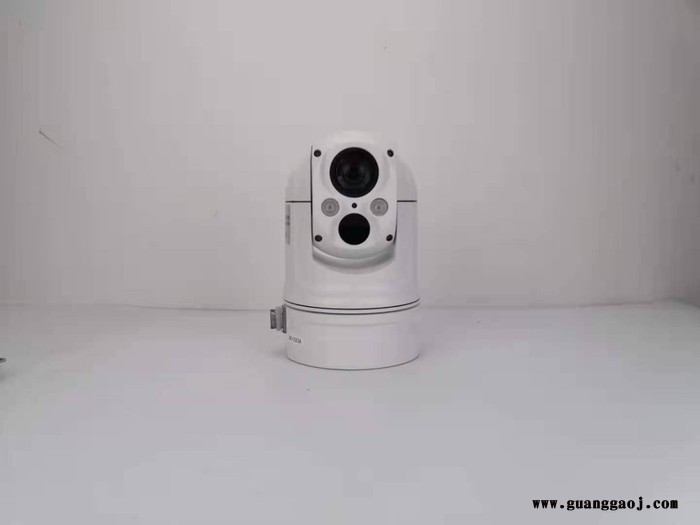 sowze 双光谱热成像云台摄像机 迷你红外热成像1080P星光级384*288ONVIF GB28181协议支持中英文图1