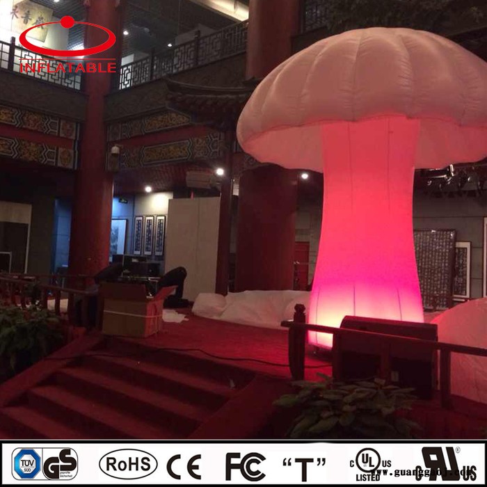 北京天翌利 装饰气模图6