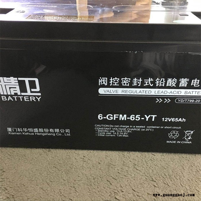 上海 电源蓄电池 成都中电滨力 品牌保证图4