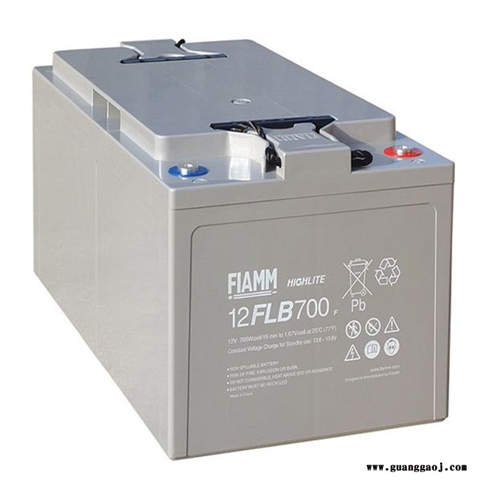 FIAMM蓄电池 电源蓄电池 12SP90蓄电池 UPS电源蓄电池 厂家图8