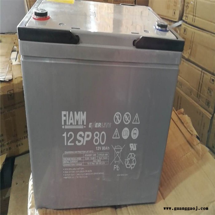 FIAMM蓄电池 电源蓄电池 12SP90蓄电池 UPS电源蓄电池 厂家图2