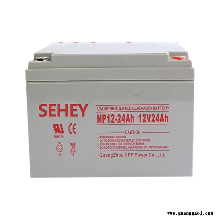SEHEY/西力NP24-12 西力铅酸蓄电池 铅酸蓄电池 蓄电池UPS不间断电源蓄电池 EPS应急电源图3
