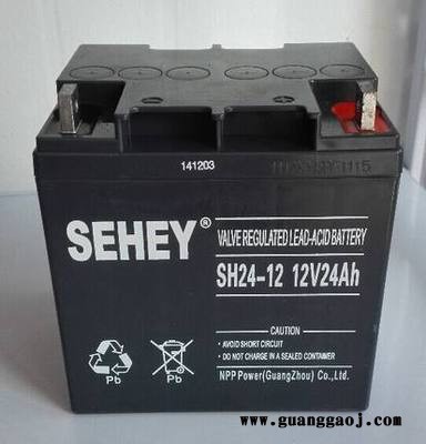 SEHEY/西力NP24-12 西力铅酸蓄电池 铅酸蓄电池 蓄电池UPS不间断电源蓄电池 EPS应急电源图2