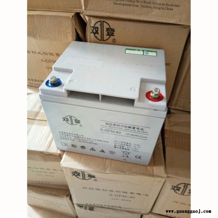 双登6-GFM-40 12V40Ah蓄电池  应急电源UPS专用 铅酸免维护 现货图3