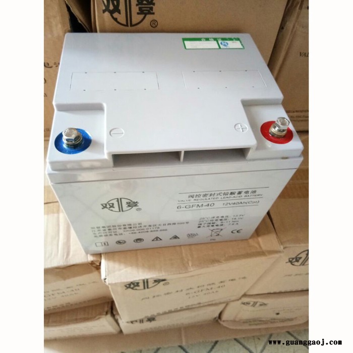 双登6-GFM-40 12V40Ah蓄电池  应急电源UPS专用 铅酸免维护 现货