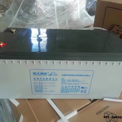 理士DJM12200S蓄电池12V200AH铅酸蓄免维护EPS直流屏UPS电源专用