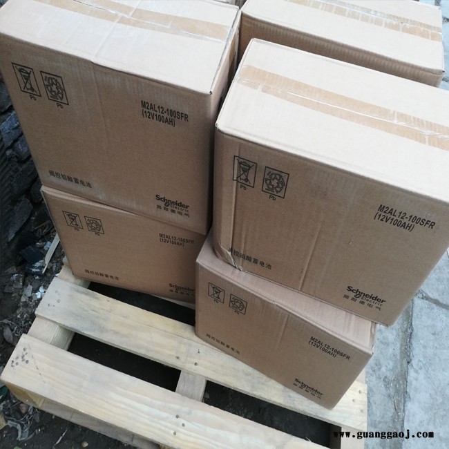 供应施耐德蓄电池M2AL12-75SFR 12V75AH直流屏 UPS电源专用蓄电池图3