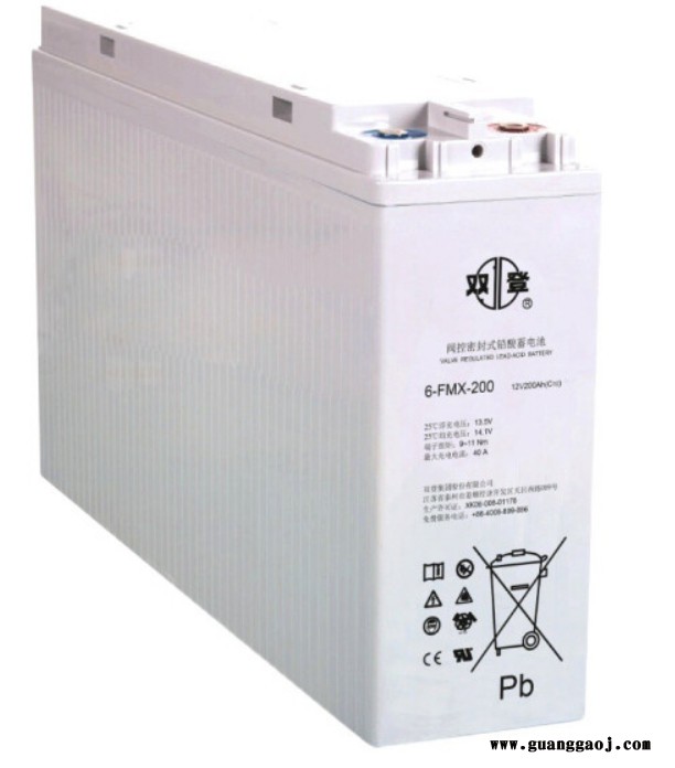 ups厂家 双登2V200AH铅酸蓄电池直流屏UPS/EPS免维护电源专用通讯消防应急GFM-200(2V200AH)图2