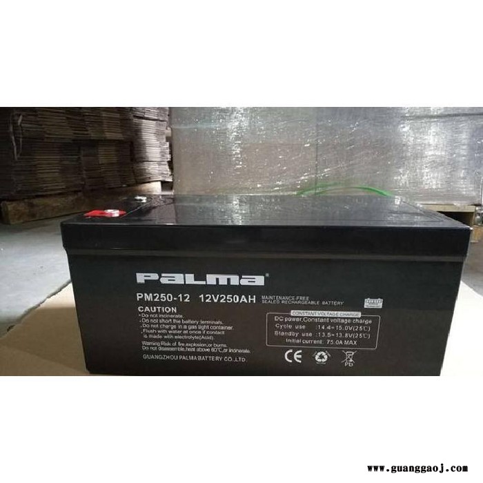 PALMA八马蓄电池PM200-1212V200AH消防照明电源电池 机房配电室电池 UPS电源电池 EPS电池图2