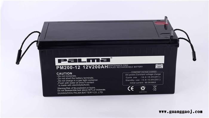PALMA八马蓄电池PM200-1212V200AH消防照明电源电池 机房配电室电池 UPS电源电池 EPS电池图7