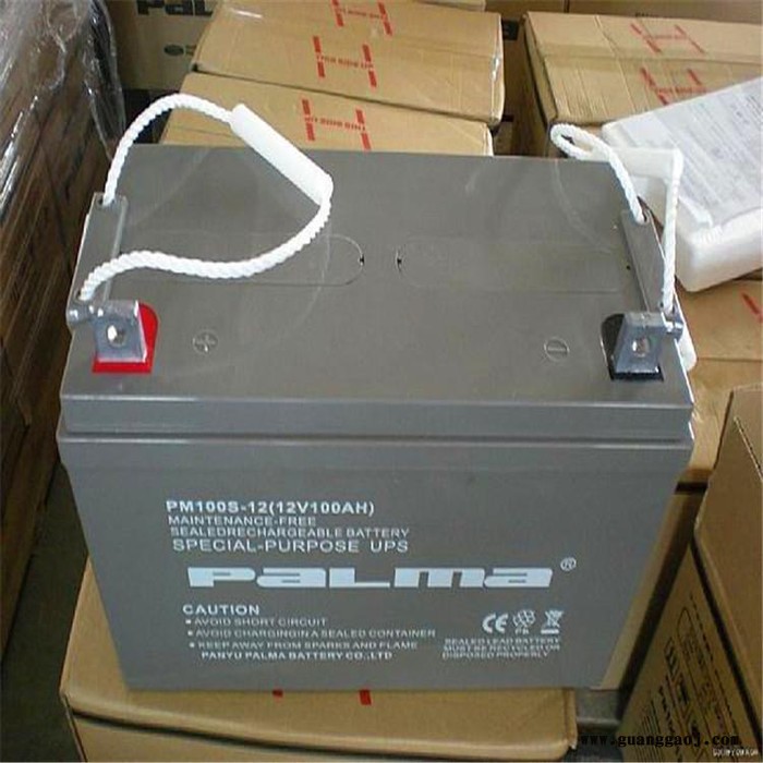PALMA八马蓄电池PM200-1212V200AH消防照明电源电池 机房配电室电池 UPS电源电池 EPS电池图4