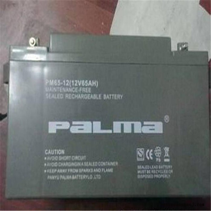 PALMA八马蓄电池PM200-1212V200AH消防照明电源电池 机房配电室电池 UPS电源电池 EPS电池图1